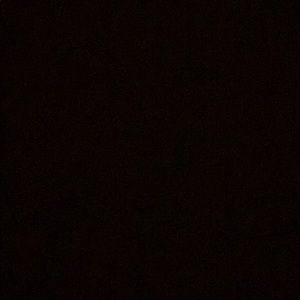 Meet your Posher, Tyanna